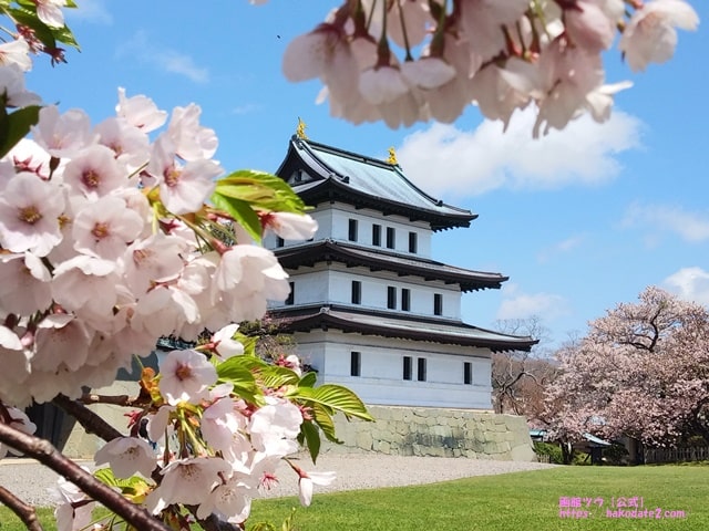 桜が満開の北海道・松前城